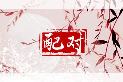 什么是八字合婚？